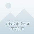 神算萌妻超凶萌